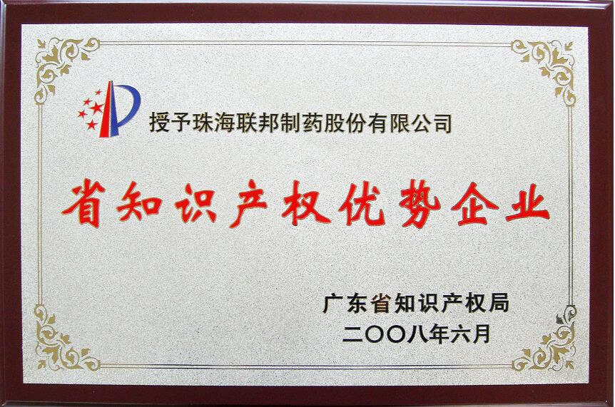廣東省知識(shí)產(chǎn)權(quán)優(yōu)勢企業(yè)