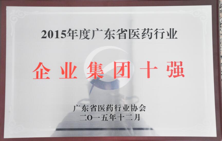 年度廣東省醫(yī)藥行業(yè)企業(yè)集團(tuán)十強(qiáng)