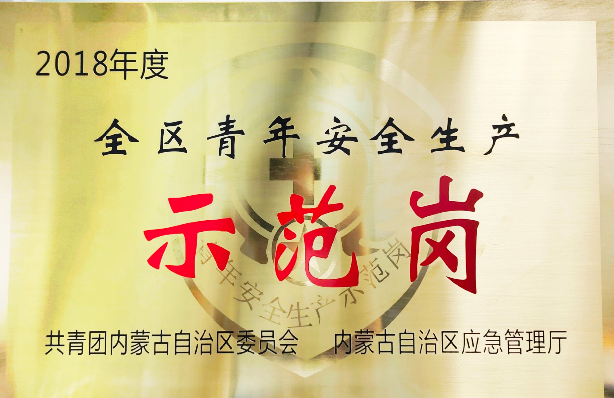 全區(qū)青年安全生產(chǎn)示范崗