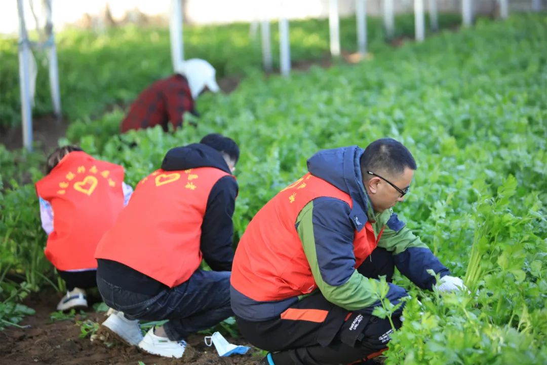 愛心助農(nóng)，我們在行動！